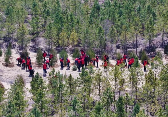 FOREIGN1772247127091RFNY69OC32