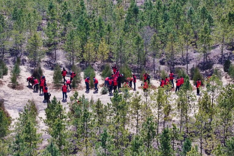 FOREIGN1772247127091RFNY69OC32