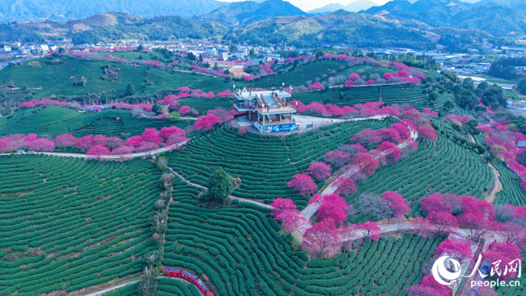 LOCAL1770534267097HYFLMS7LX8