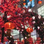 istockphoto-1187695260-612x612-1-optimized