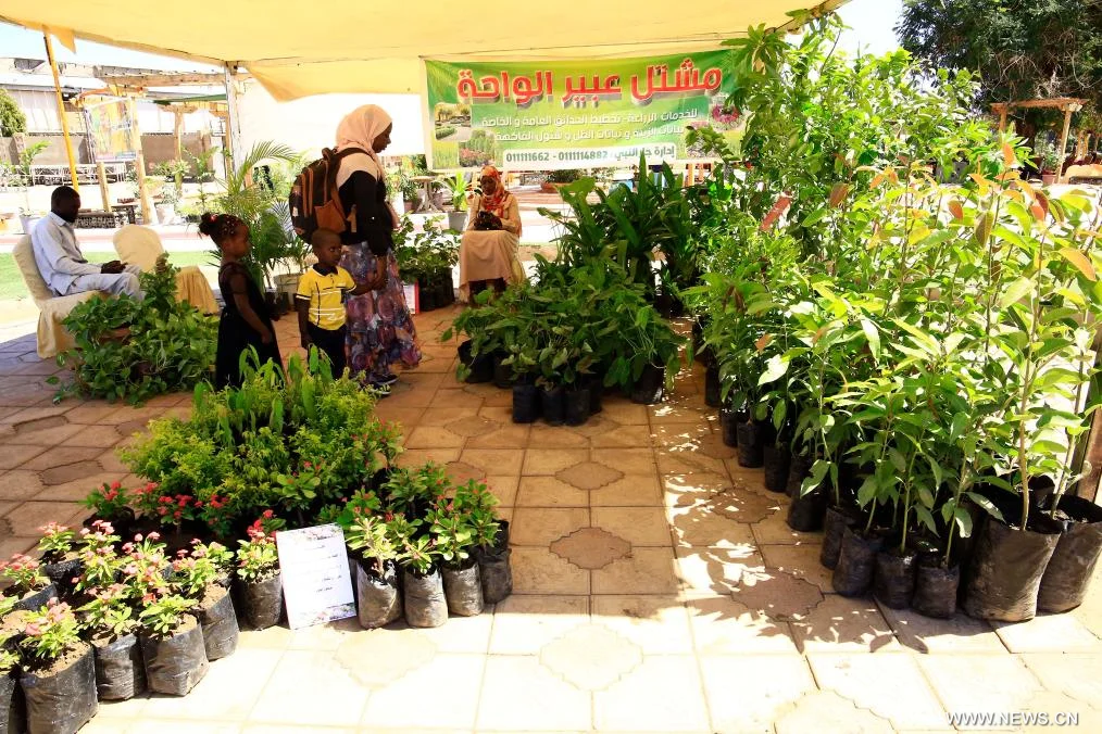 بعد-سنوات-من-الحرب.-مهرجان-الزهور-ينعش-الخرطوم