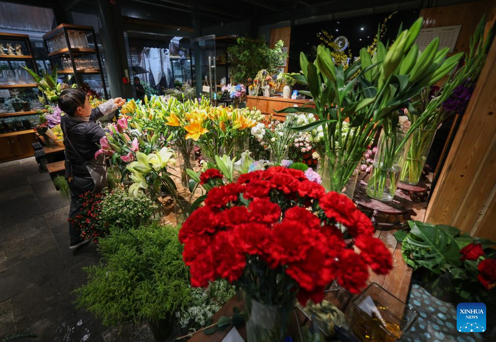 11210325560976996833