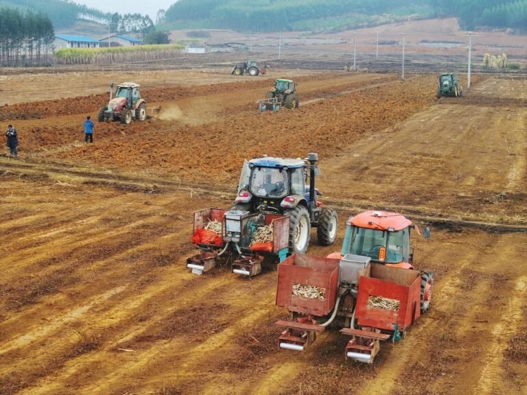 13016447541550036669