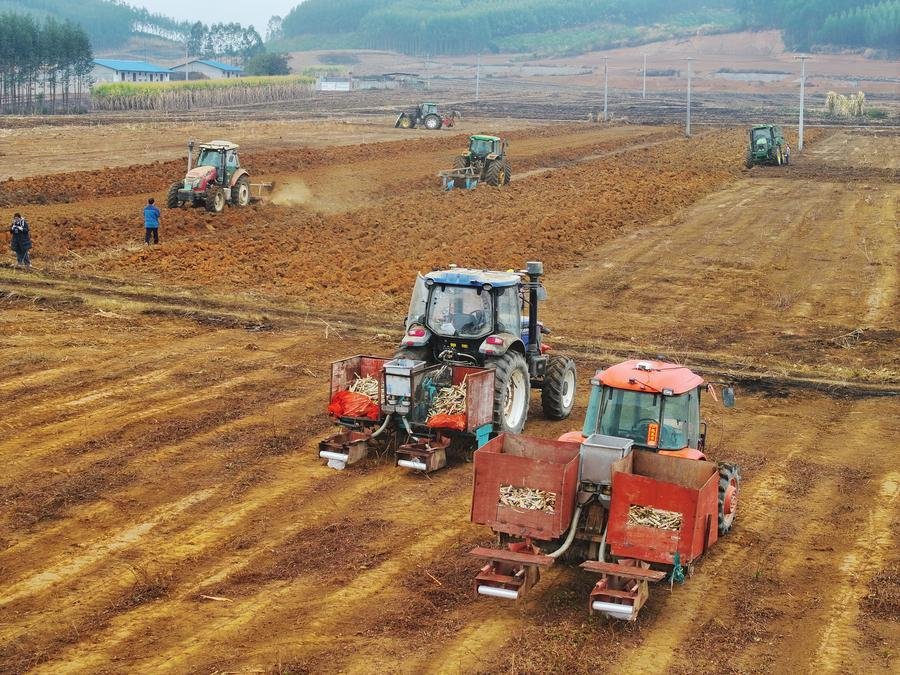 13016447541550036669