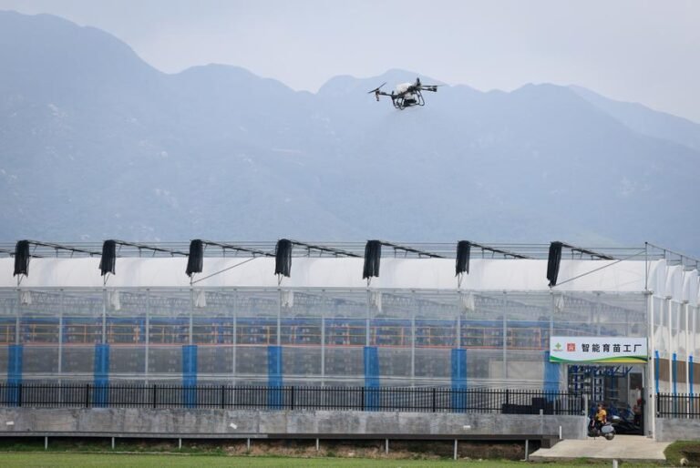 15121787473207550431