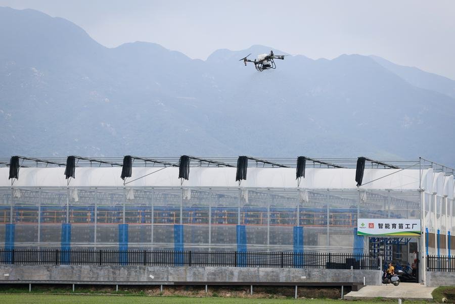 15121787473207550431