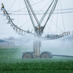 16906395650400467682