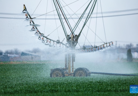 16906395650400467682