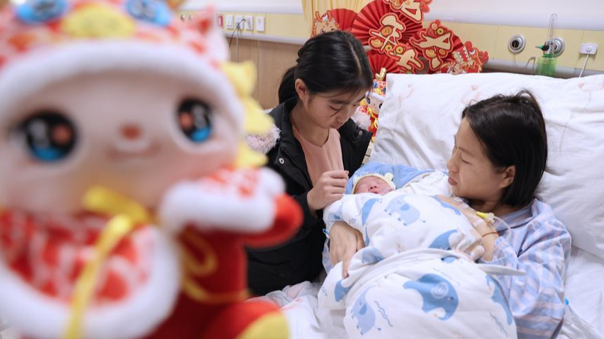 58ffa31d5d5e54ed7b54af0c164ffc18