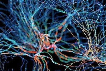 69a66db8a310d68600f8b8a7