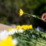 69cb714aa310d68600facb30