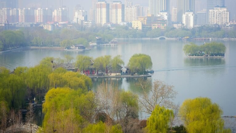 6e6d60f7cefb4353b58f6e461e7ced50