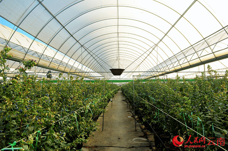 FOREIGN1773119531804WMWU5T4WA5