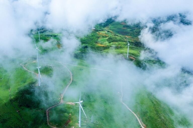 FOREIGN1773387310776MFF5LJZOVV