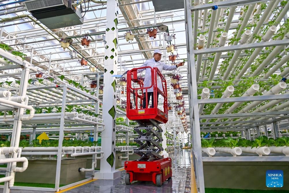 FOREIGN1774338052812S61AR4LQYO