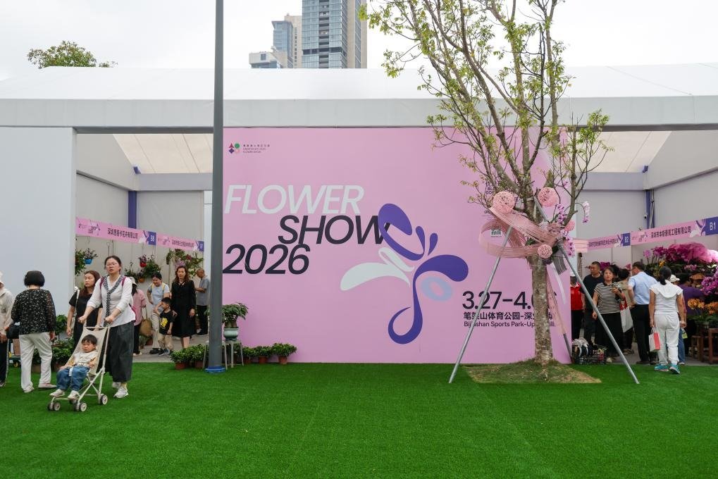 FOREIGN1774661167076XNGXSD9P9Z