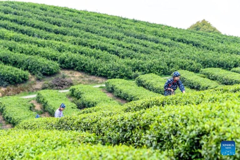 FOREIGN1774661611413680JUMJNWR