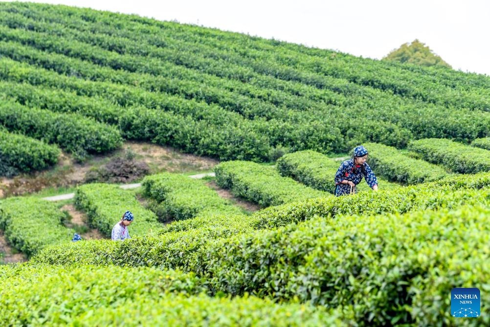 FOREIGN1774661611413680JUMJNWR