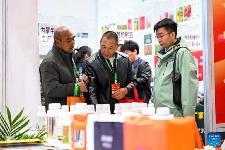 FOREIGN1774683551054LC2YSA5BRL