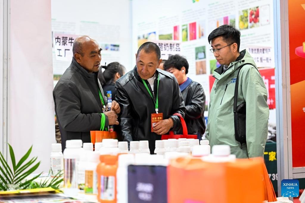 FOREIGN1774683551054LC2YSA5BRL