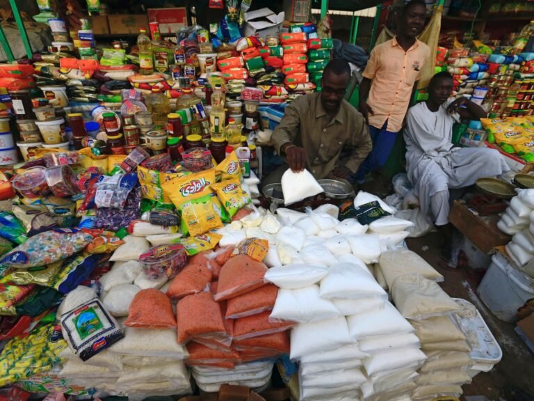 Strikes on Darfur market in Sudan kill more than 100, rights group says