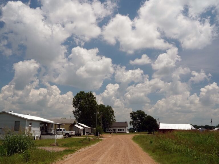 As US midterms approach, farmers decide what to plant and how to vote