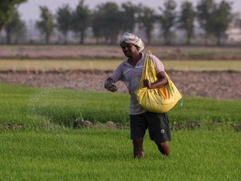 UN official warns of looming food crisis as Hormuz fertiliser plan stalls