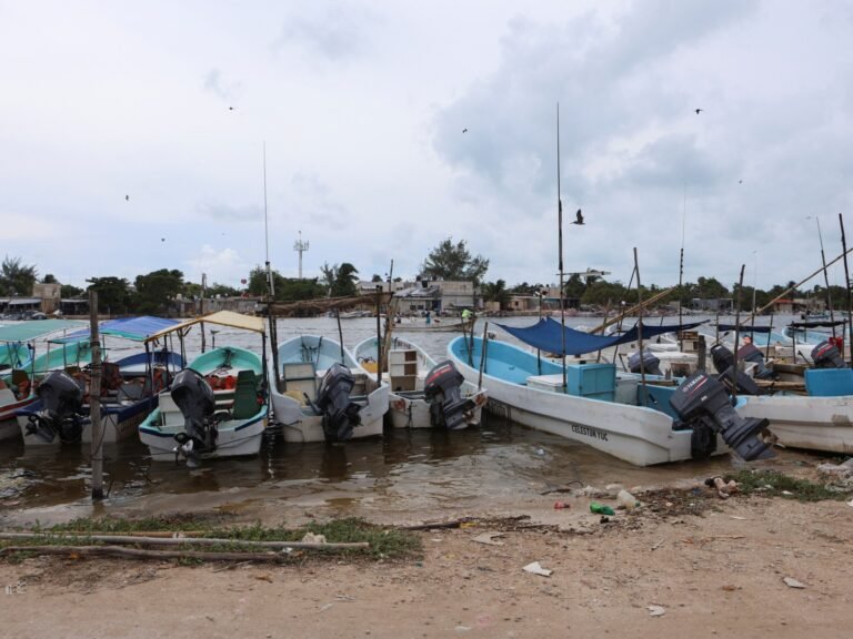 Faecal waste pollutes drinking water in Mexico’s Yucatan, Greenpeace says