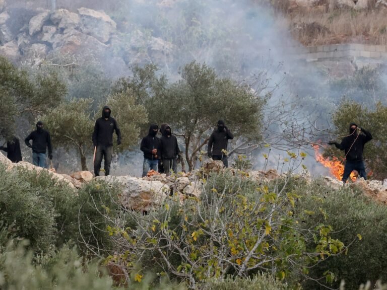 Activists accuse Israeli settlers of assault in occupied West Bank