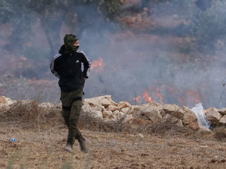 Palestine weekly: Israeli settlers attack journalist and diplomats