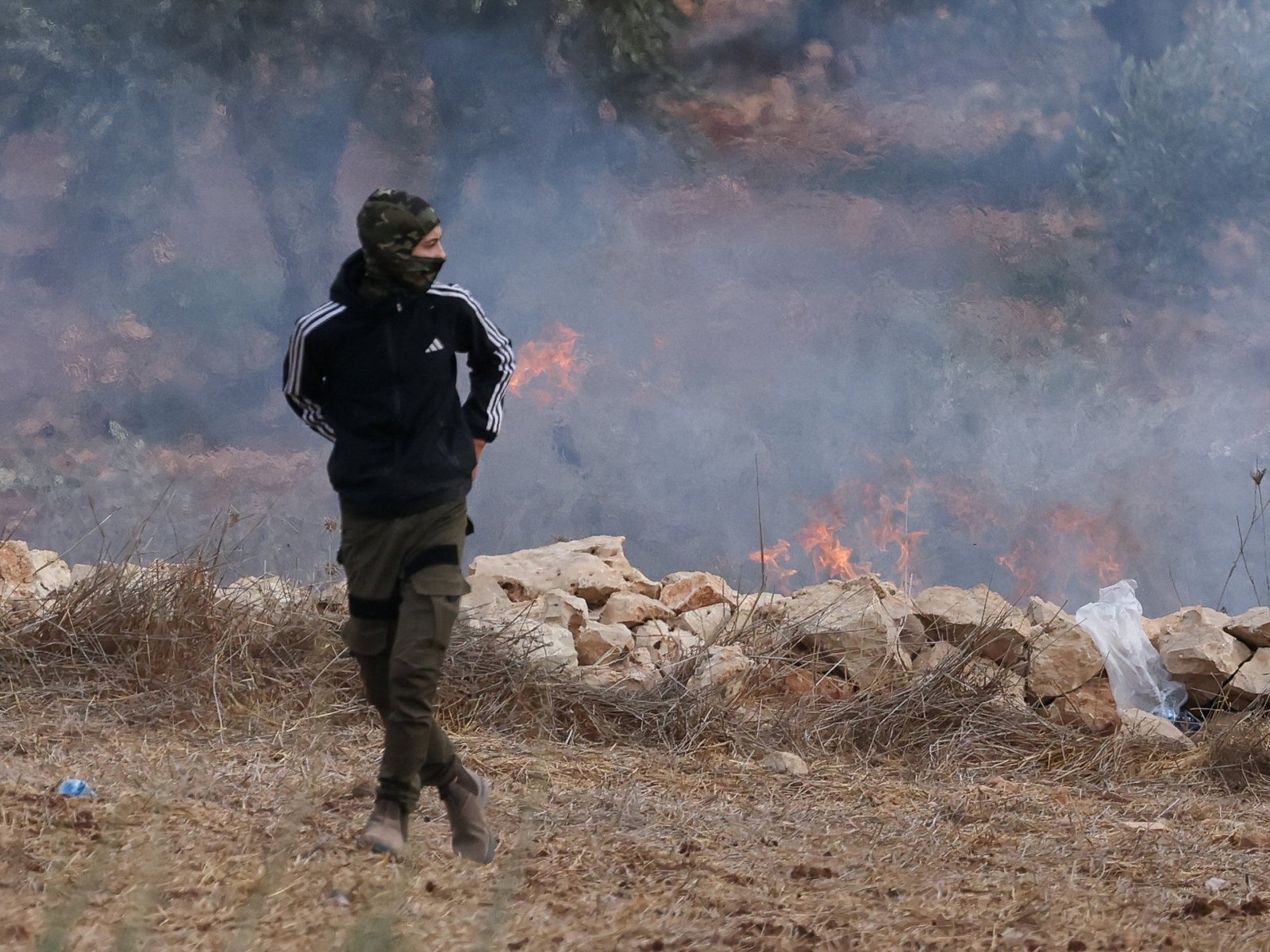 Palestine weekly: Israeli settlers attack journalist and diplomats