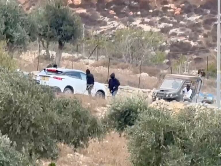 Why have settler pogroms surged during olive harvest season in West Bank?