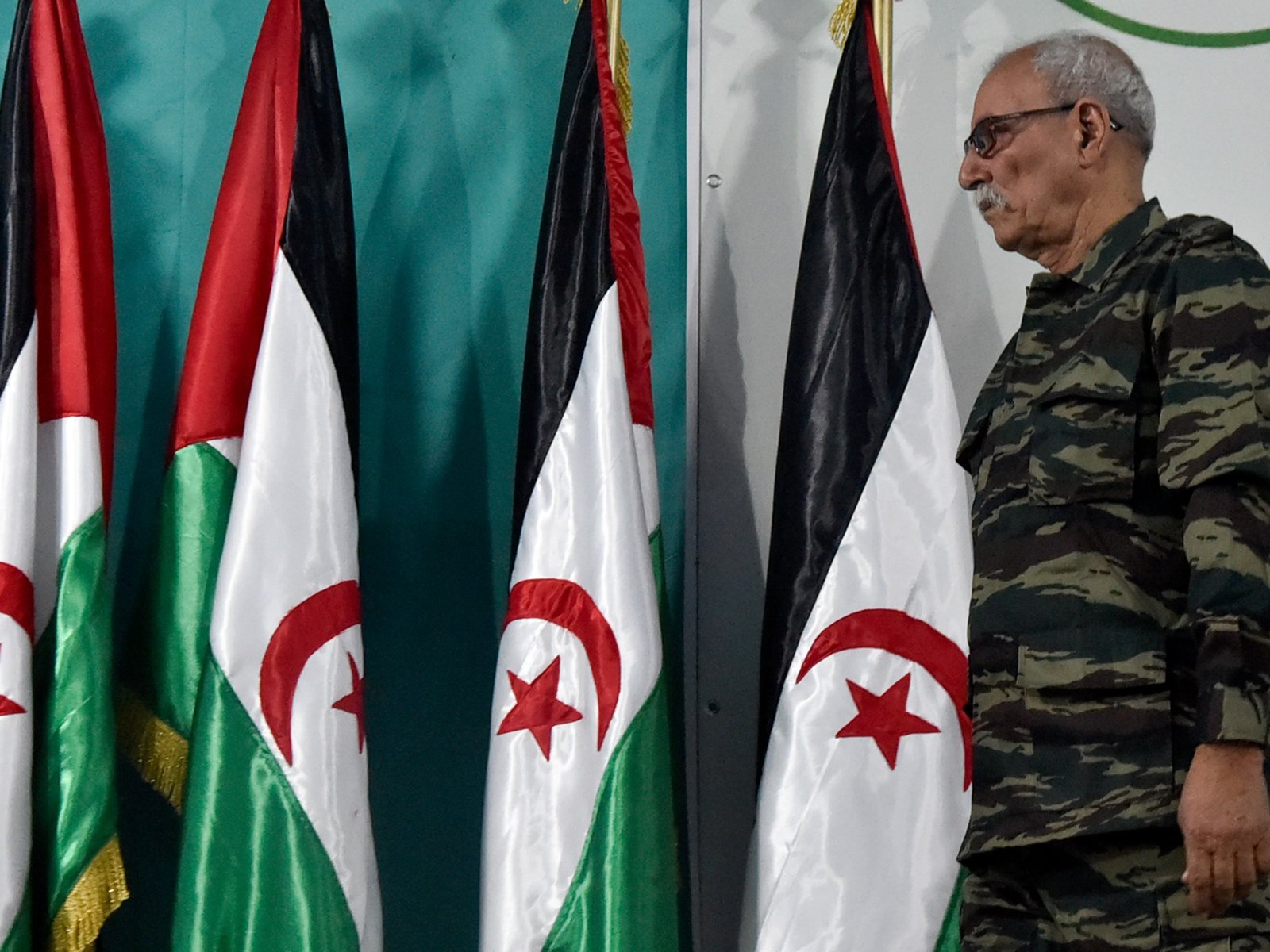 Rival US and Russian resolutions on Western Sahara fail at UN