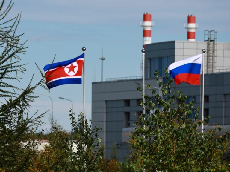 North Koreans being recruited into forced labour in Russia, report says