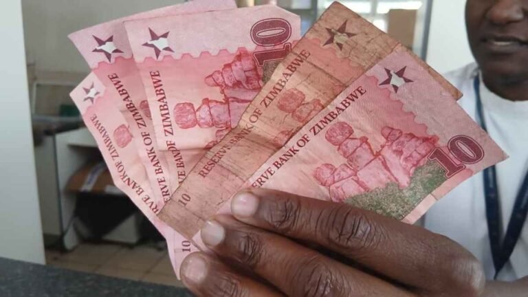 Can Zimbabwe’s ZiG win trust and replace the US dollar?