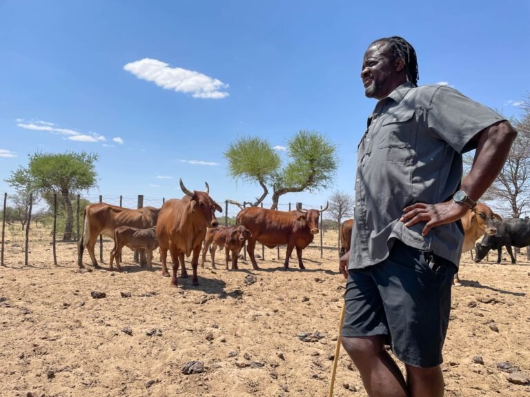 Namibia battles cattle disease outbreak as EU suspends several meat imports