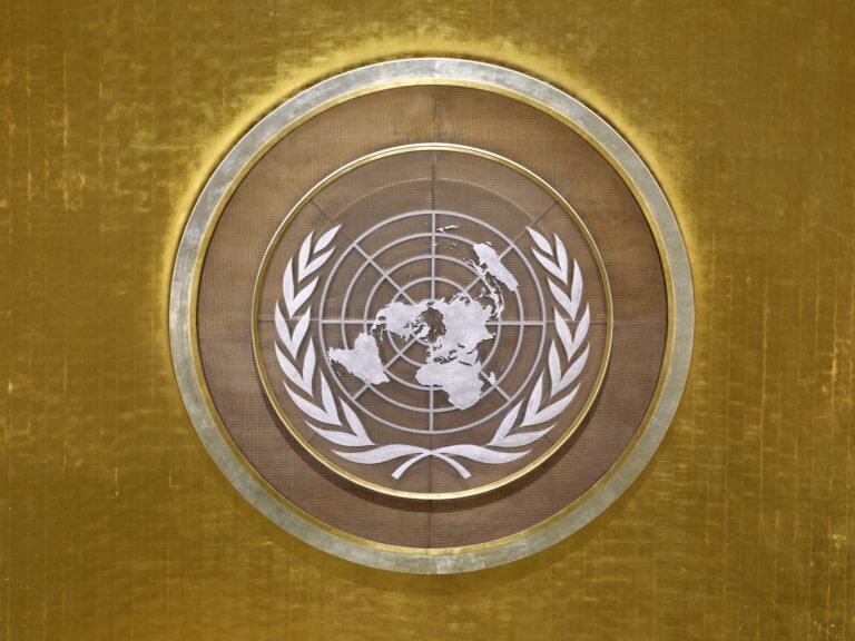 UN Human Rights Council elects 15 members in uncontested vote