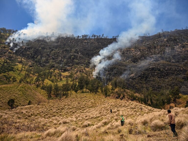 Four killed as Indonesia battles worst forest fires in more than a decade