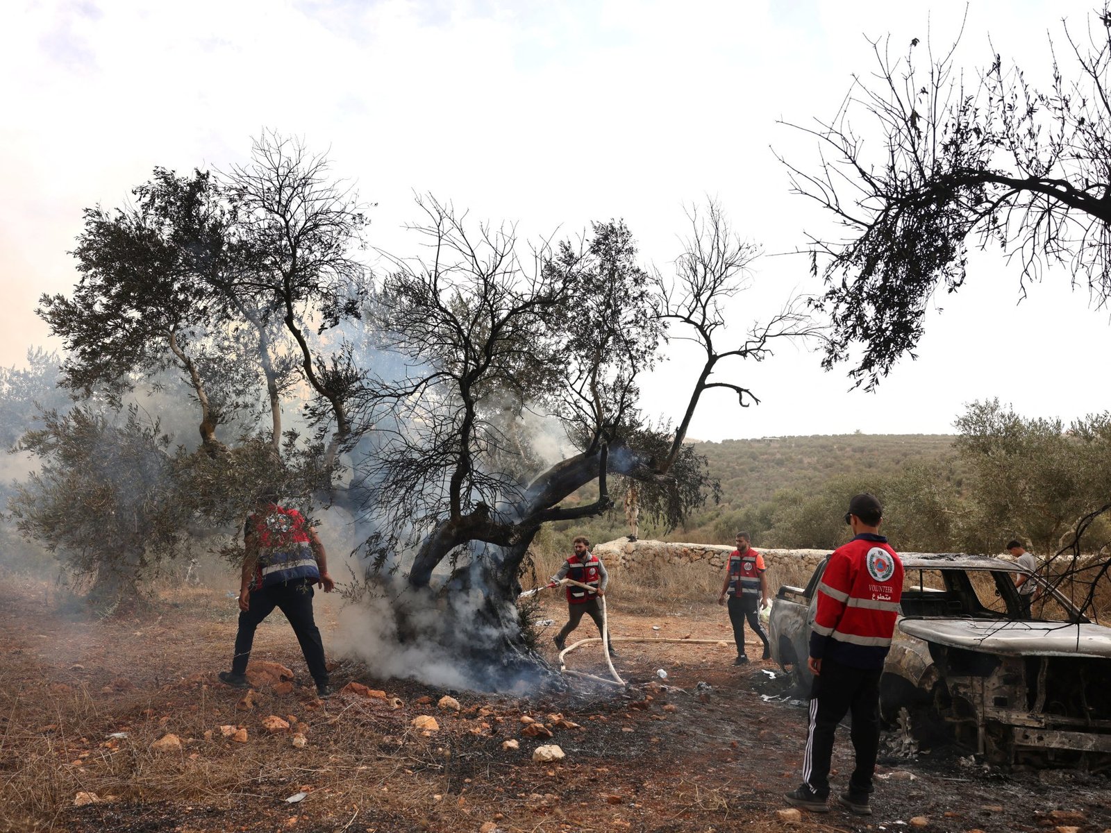 Israeli settlers continue pogrom amid olive harvest in occupied West Bank