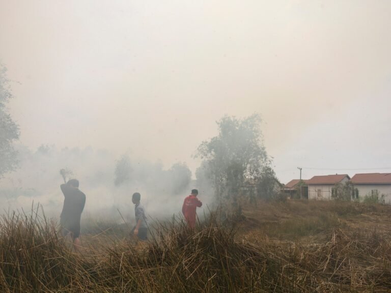 Smoke from wildfires killed 3,500 people in Indonesia in September: Report