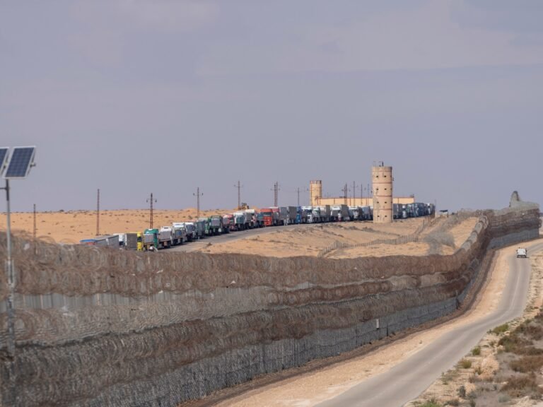 Israeli military detains Egyptian national who crossed border