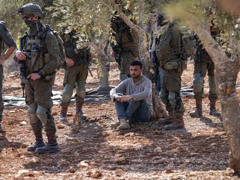 Israel arrests 36 Palestinians in the West Bank, attacks on farmers ramp up
