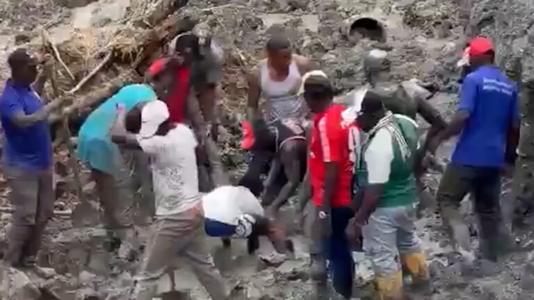 Fourteen dead in illegal Colombian gold mine collapse