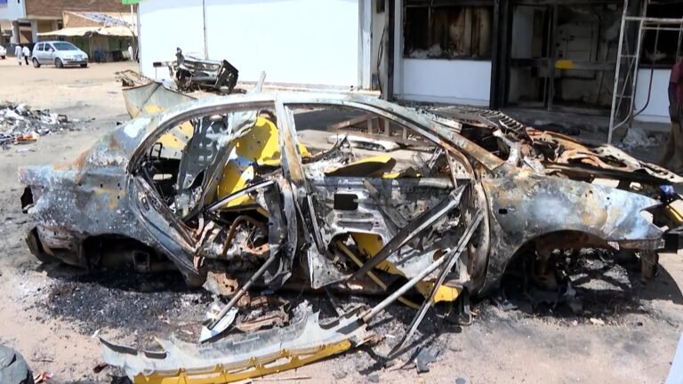 Sudan army accused of drone strike on livestock market