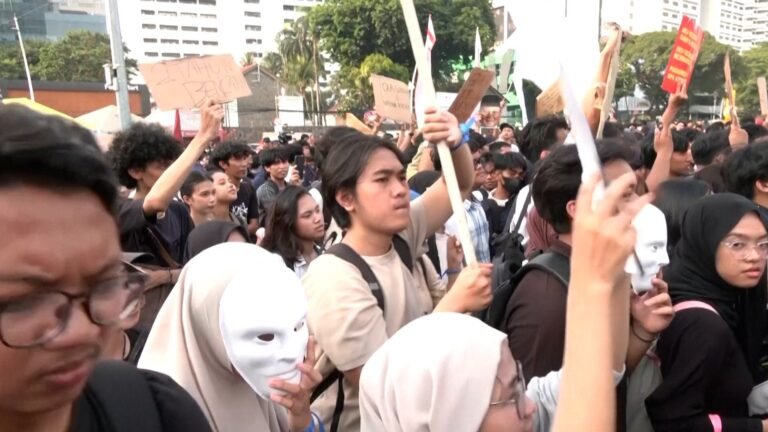 Indonesians protest over land-clearing fires
