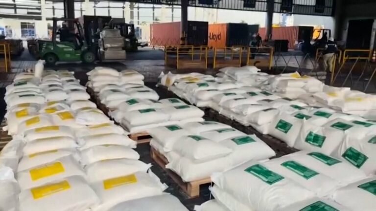 Colombia seizes 7.6 tonnes of cocaine in biggest haul in a decade