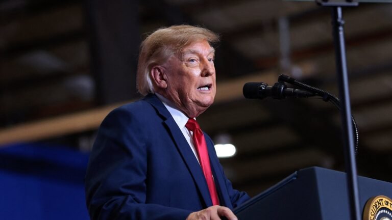 Trump praises man who punched protester at rally in South Carolina