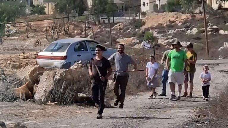 Armed Israeli settlers try to break into Palestinian grandfather’s home