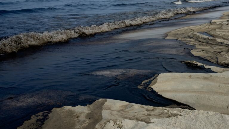 Oil slick from tanker in Hormuz Strait washes up on UAE beaches