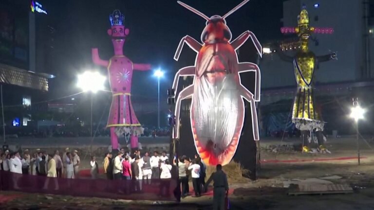 Pro-Modi leader burns cockroach effigy to taunt youth protesters
